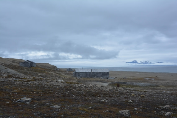 PLA04-24, Day 7, DSC_0672 © Paolo Bellezze - Oceanwide Expeditions.jpg