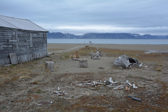 PLA04-24, Day 7, DSC_0681 © Paolo Bellezze - Oceanwide Expeditions.jpg