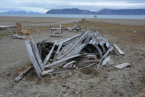 PLA04-24, Day 7, DSC_0683 © Paolo Bellezze - Oceanwide Expeditions.jpg