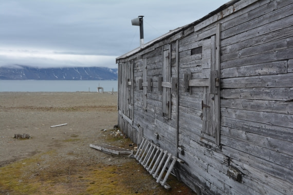 PLA04-24, Day 7, DSC_0687 © Paolo Bellezze - Oceanwide Expeditions.jpg