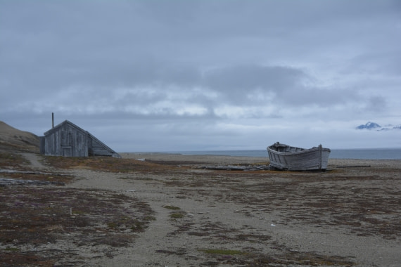 PLA04-24, Day 7, DSC_0692 © Paolo Bellezze - Oceanwide Expeditions.jpg