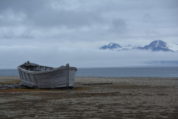 PLA04-24, Day 7, DSC_0693 © Paolo Bellezze - Oceanwide Expeditions.jpg