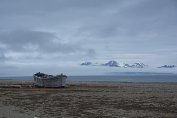 PLA04-24, Day 7, DSC_0694 © Paolo Bellezze - Oceanwide Expeditions.jpg