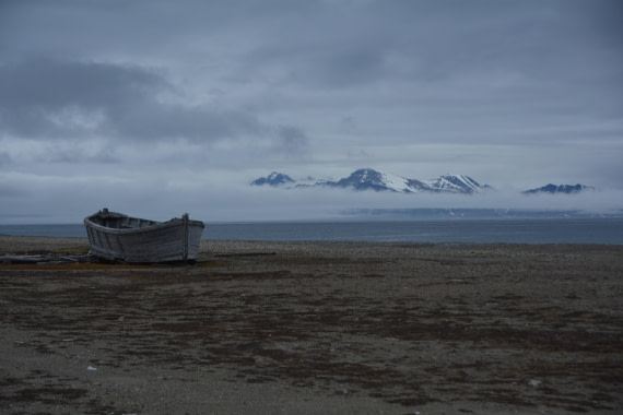 PLA04-24, Day 7, DSC_0695 © Paolo Bellezze - Oceanwide Expeditions.jpg