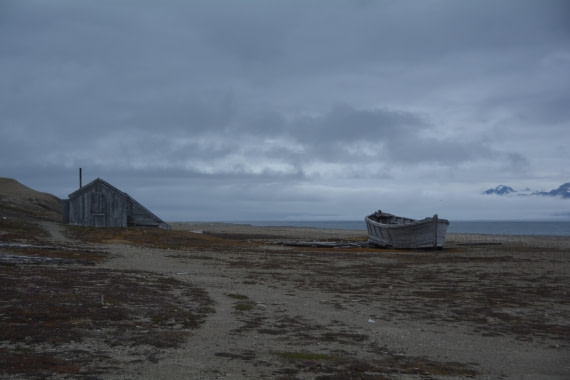 PLA04-24, Day 7, DSC_0697 © Paolo Bellezze - Oceanwide Expeditions.jpg