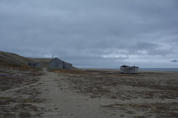 PLA04-24, Day 7, DSC_0698 © Paolo Bellezze - Oceanwide Expeditions.jpg