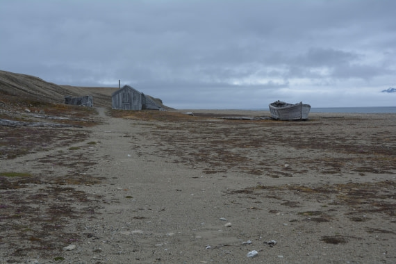 PLA04-24, Day 7, DSC_0700 © Paolo Bellezze - Oceanwide Expeditions.jpg