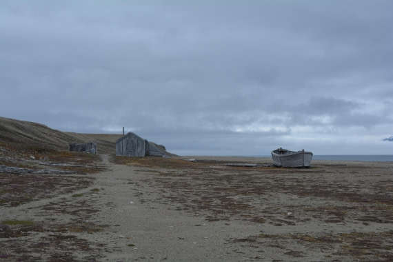 PLA04-24, Day 7, DSC_0701 © Paolo Bellezze - Oceanwide Expeditions.jpg