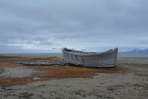 PLA04-24, Day 7, DSC_0702 © Paolo Bellezze - Oceanwide Expeditions.jpg