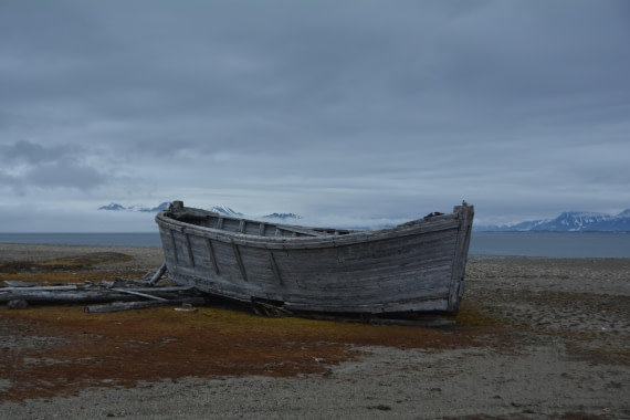 PLA04-24, Day 7, DSC_0705 © Paolo Bellezze - Oceanwide Expeditions.jpg