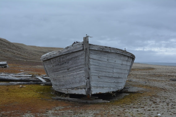 PLA04-24, Day 7, DSC_0707 © Paolo Bellezze - Oceanwide Expeditions.jpg