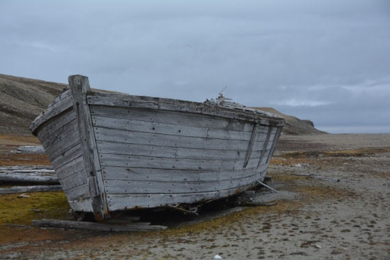 PLA04-24, Day 7, DSC_0709 © Paolo Bellezze - Oceanwide Expeditions.jpg