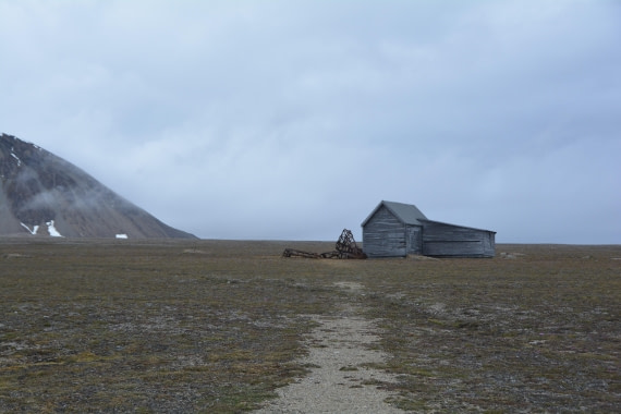 PLA04-24, Day 7, DSC_0715 © Paolo Bellezze - Oceanwide Expeditions.jpg
