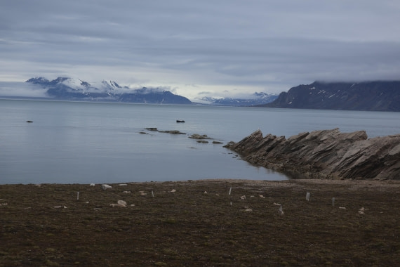 PLA04-24, Day 7, IMG_8950 © Beth Hitchcock - Oceanwide Expeditions.JPG
