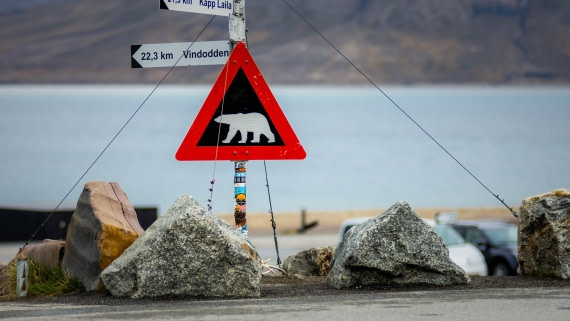 PLA04-24, Day 1, PAZ_5194 © Alexander Romanovskiy - Oceanwide Expeditions.jpg