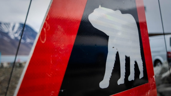 PLA04-24, Day 1, PAZ_5203 © Alexander Romanovskiy - Oceanwide Expeditions.jpg