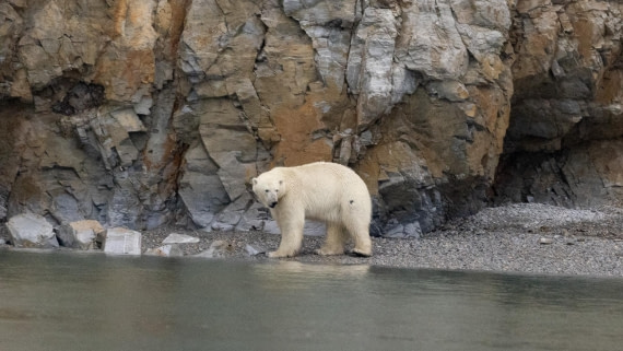 HDS05-24, Day 3, 4Q9A8404 © Katlyn Taylor - Oceanwide Expeditions.jpeg
