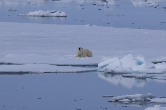 HDS05-24, Day 5, 4Q9A8858 © Katlyn Taylor - Oceanwide Expeditions.jpeg
