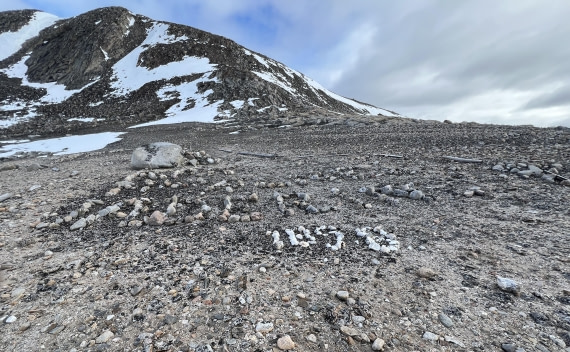 PLA05-24, Day 3, IMG_5039 © Unknown photographer - Oceanwide Expeditions.jpg