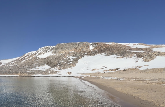 PLA05-24, Day 3, IMG_5049 © Unknown photographer - Oceanwide Expeditions.jpg