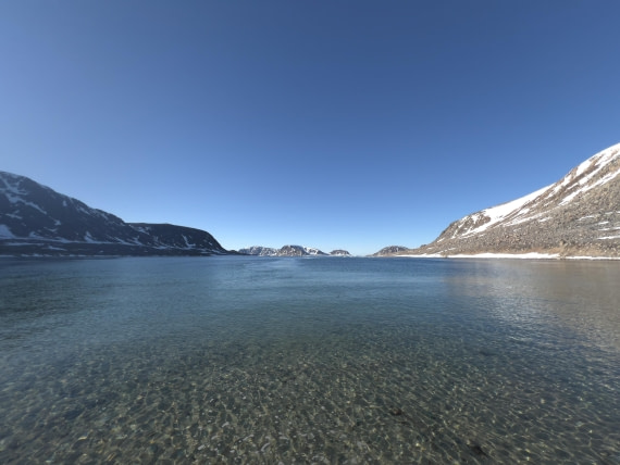 PLA05-24, Day 3, IMG_5051 © Unknown photographer - Oceanwide Expeditions.jpg