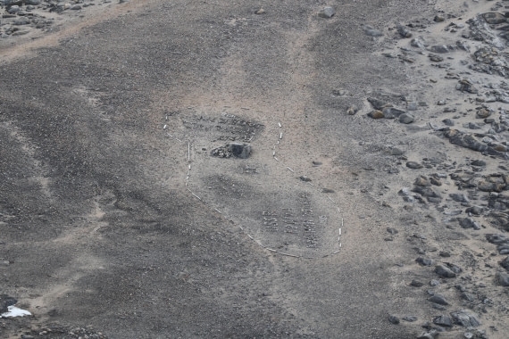 PLA05-24, Day 3, IMG_8970 © Unknown photographer - Oceanwide Expeditions.JPG