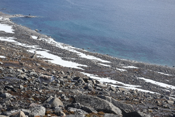 PLA05-24, Day 3, IMG_8976 © Unknown photographer - Oceanwide Expeditions.JPG