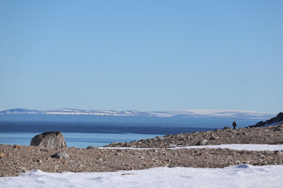 PLA05-24, Day 3, IMG_8979 © Unknown photographer - Oceanwide Expeditions.JPG