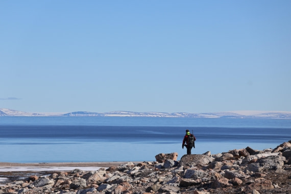 PLA05-24, Day 3, IMG_8980 © Unknown photographer - Oceanwide Expeditions.JPG