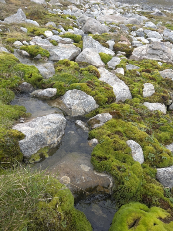 PLA05-24, Day 6, IMG_5109 © Unknown photographer - Oceanwide Expeditions.jpg