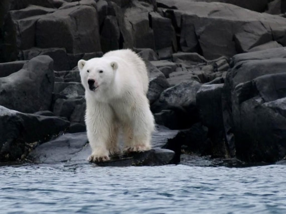 OTL05-24, Day 5, Picture14 © Unknown photographer - Oceanwide Expeditions.jpg