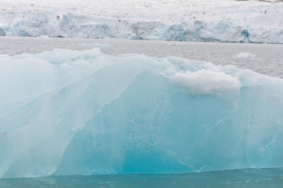HDS06-24, Day 3, _DSC4280 © Unknown photographer - Oceanwide Expeditions.jpg