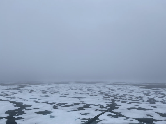 HDS06-24, Day 5, IMG_5461 © Unknown photographer - Oceanwide Expeditions.jpeg