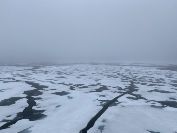 HDS06-24, Day 5, IMG_5462 © Unknown photographer - Oceanwide Expeditions.jpeg