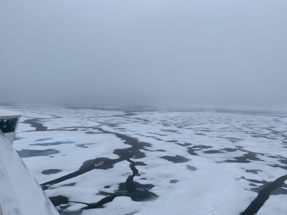 HDS06-24, Day 5, IMG_5463 © Unknown photographer - Oceanwide Expeditions.jpeg