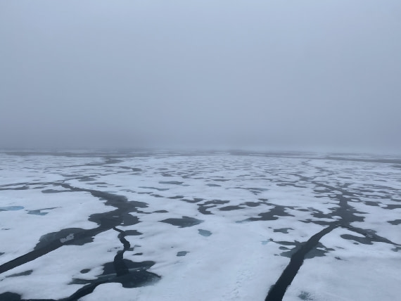 HDS06-24, Day 5, IMG_5464 © Unknown photographer - Oceanwide Expeditions.jpeg