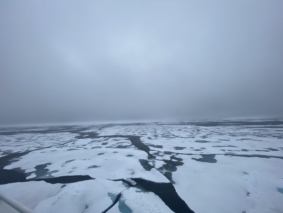 HDS06-24, Day 5, IMG_5466 © Unknown photographer - Oceanwide Expeditions.jpeg