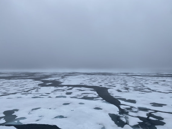 HDS06-24, Day 5, IMG_5467 © Unknown photographer - Oceanwide Expeditions.jpeg