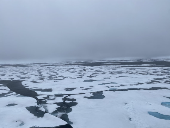 HDS06-24, Day 5, IMG_5468 © Unknown photographer - Oceanwide Expeditions.jpeg