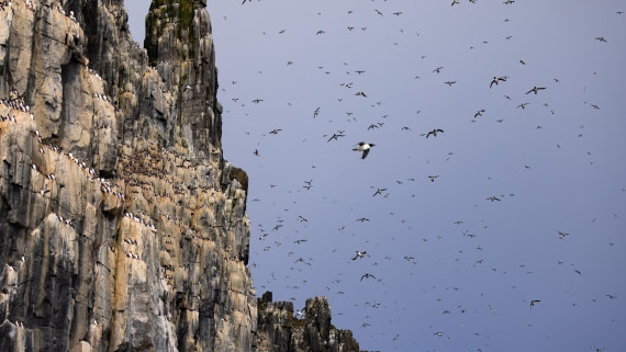 HDS06-24, Day 6, 4Q9A0885 © Katlyn Taylor - Oceanwide Expeditions.jpeg