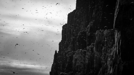 HDS06-24, Day 6, 4Q9A0910 © Katlyn Taylor - Oceanwide Expeditions.jpeg