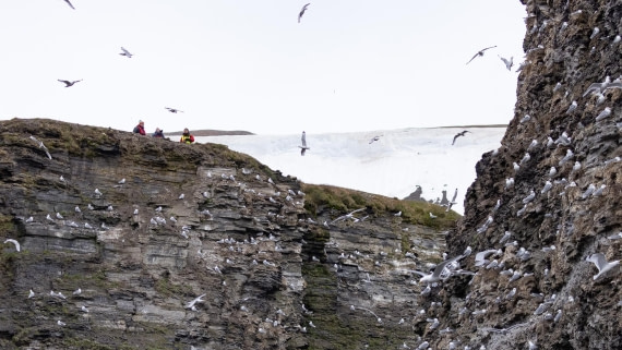 HDS06-24, Day 7, 4Q9A1372 © Katlyn Taylor - Oceanwide Expeditions.jpeg