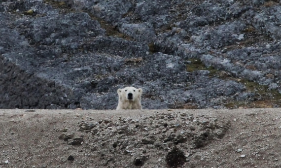 HDS06-24, Day 9, IMG_8982 © Unknown photographer - Oceanwide Expeditions.JPG