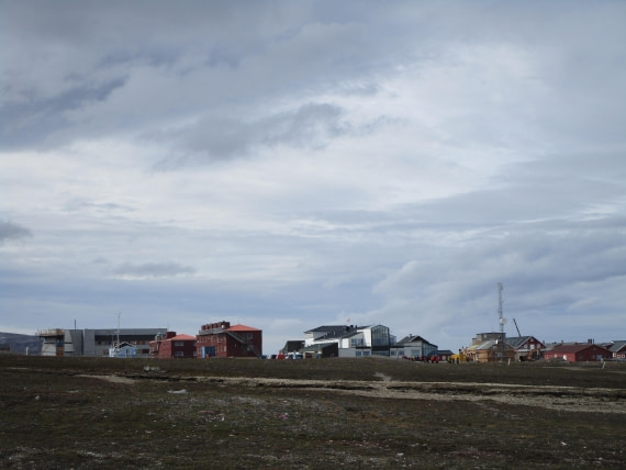 OTL06-24, Day 2,   IMG_3355 © Unknown photographer - Oceanwide Expeditions.JPG