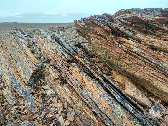 OTL06-24, Day 4,   IMG_20240713_102625 © Unknown photographer - Oceanwide Expeditions.jpg