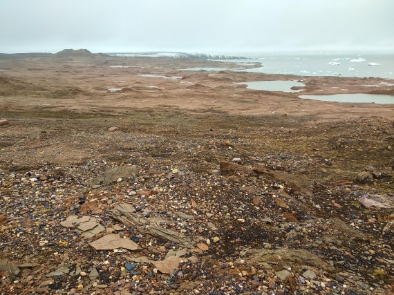 OTL06-24, Day 4,   IMG_20240713_104239 © Unknown photographer - Oceanwide Expeditions.jpg