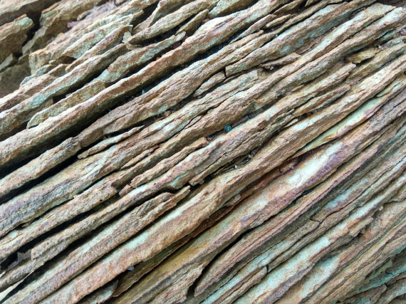 OTL06-24, Day 4,   IMG_20240713_110205 © Unknown photographer - Oceanwide Expeditions.jpg