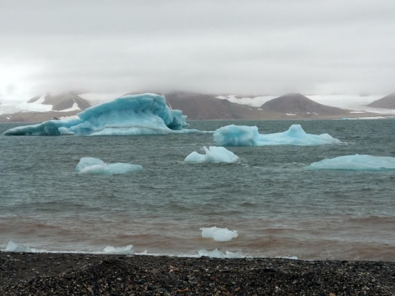 OTL06-24, Day 4,   IMG_20240713_114356 © Unknown photographer - Oceanwide Expeditions.jpg