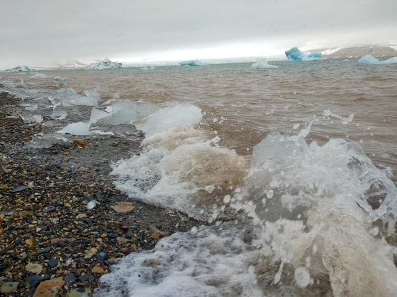 OTL06-24, Day 4,   IMG_20240713_114632 © Unknown photographer - Oceanwide Expeditions.jpg