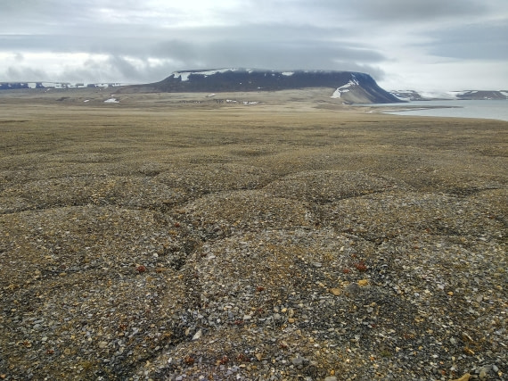 OTL06-24, Day 4,   IMG_20240713_152019 © Unknown photographer - Oceanwide Expeditions.jpg